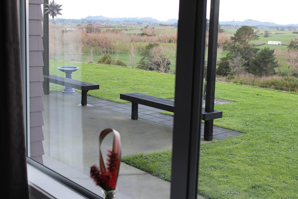 Birds Eye View Bed And Breakfast Waihi Kültér fotó
