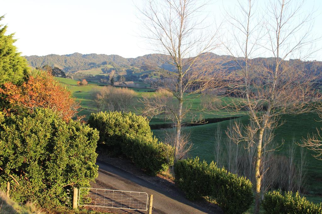 Birds Eye View Bed And Breakfast Waihi Kültér fotó